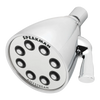 Speakman S-2251-E175 Signature Icon Anystream Showerhead
