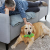 GBruno 3Pcs Duck-Shaped Dog Plush Toy