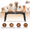 GBruno Dog Raised Bowls
