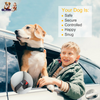 GBruno 2Pcs Pet Dog Seat Belt