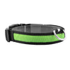 GBruno LED Dog Collar USB