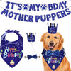 GBruno Dog Birthday Bandana Hat