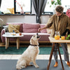 GBruno Washable Dog Pee Pad