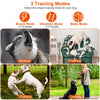 GBruno Waterproof Electric Dog Training Collar