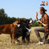 GBruno IP67 Waterproof Electric Dog Training Collar