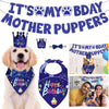 GBruno Dog Birthday Bandana Hat
