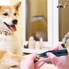 GBruno Dog Nail Grinder