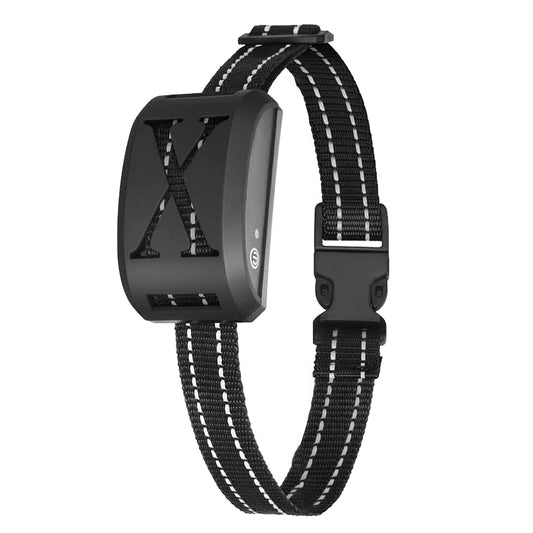 GBruno Electric Dog Collar Receiver