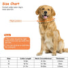 GBruno  Adjustable Dog Choke Collar