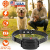 GBruno Waterproof Electric Dog Training Collar