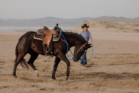 "California" Collection Set