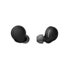 Sony True Wireless Headphones with Voice Assistant & Case