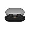 Sony True Wireless Headphones with Voice Assistant & Case