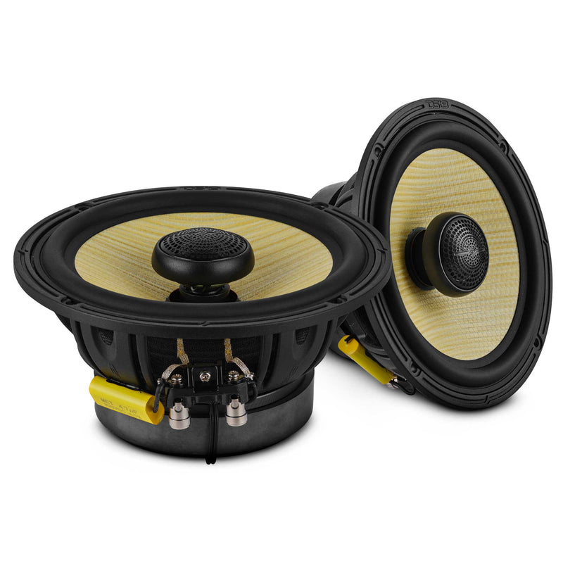 DXQ 6.5