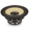 DXQ 6.5