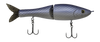 Gizzard Shad