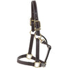 Huntley Equestrian Premium Leather Triple Stitched Halter with Snap