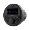Marine and Powersports Headunit and 6.5