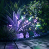 Solar Garden Lights (2 Pack)