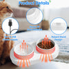 GBruno Heated Water Bowl For Dogs And Cats