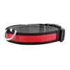 GBruno LED Dog Collar USB