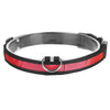 GBruno LED Dog Collar USB