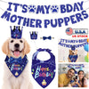 GBruno Dog Birthday Bandana Hat