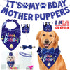 GBruno Dog Birthday Bandana Hat