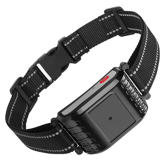 GBruno Dog Training Collar Receiver