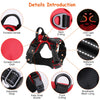 Light Up Dog Harness