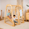 Indoor Playground for Children - 7in1 Playground + Swings Set + Slide Board + Art Set